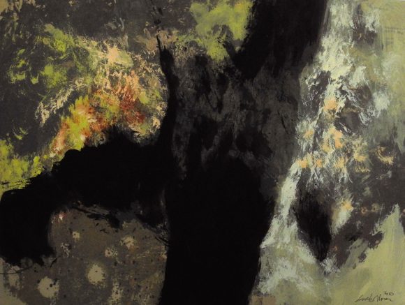 La luz del Bosque 22