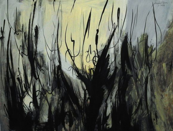 La luz del Bosque 30