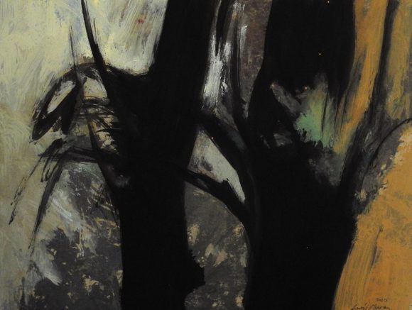 La luz del Bosque 31