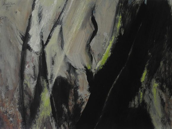 La luz del Bosque 33