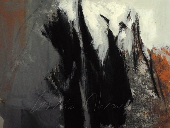 La luz del Bosque 37