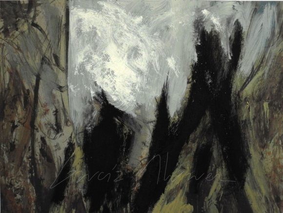 La luz del Bosque 38