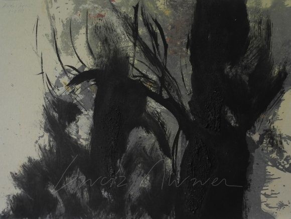 La luz del Bosque 18