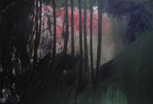 La luz del Bosque 01