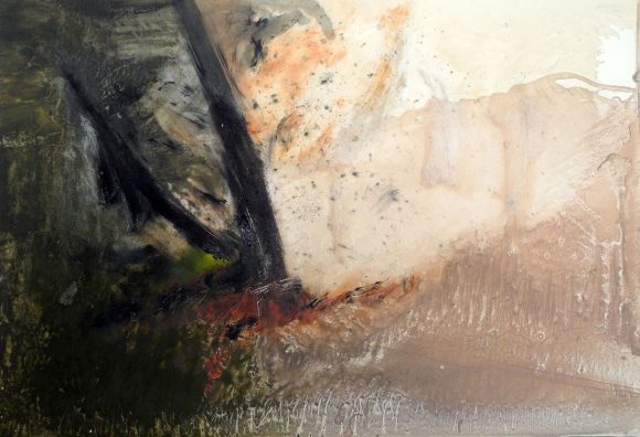 La luz del Bosque 07