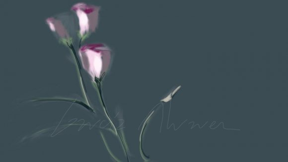 Flores 04