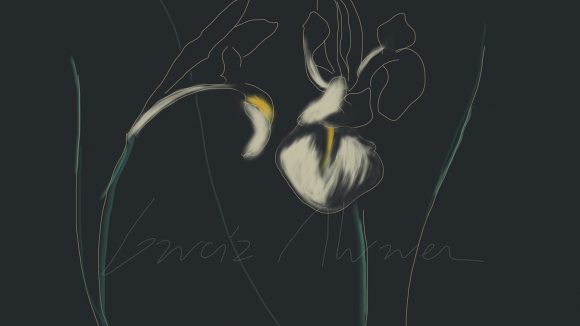 Flores 05
