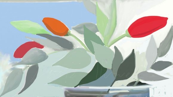 Flores 12