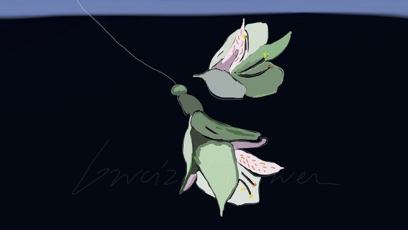 Flores 15