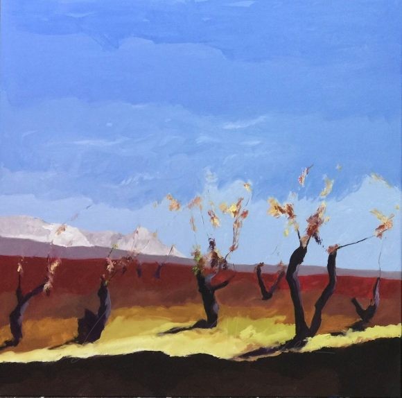 Viñedo 29 A
