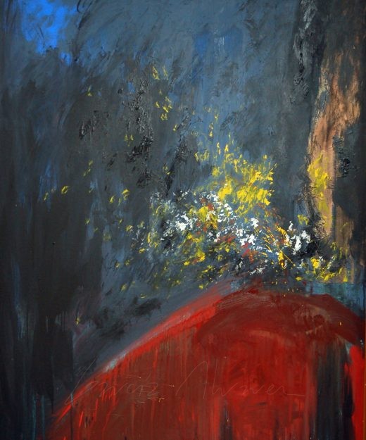 Volcanes 17