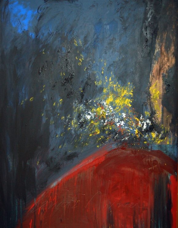 Volcanes 17