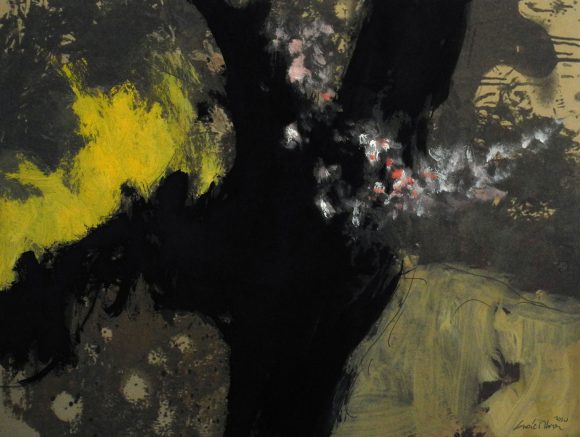 La luz del Bosque 11