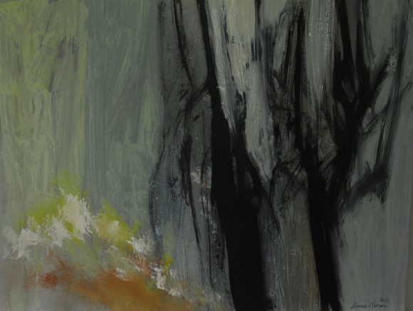 La luz del Bosque 13