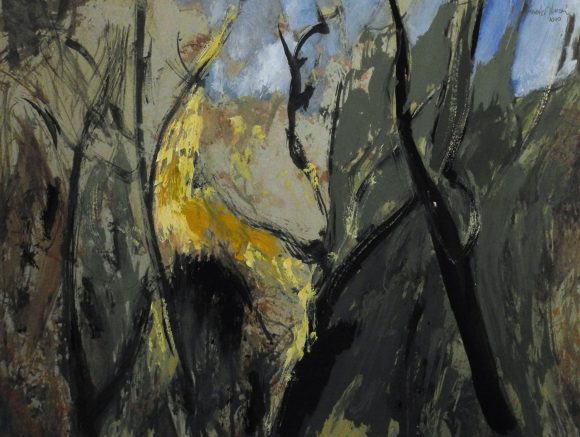 La luz del Bosque 25