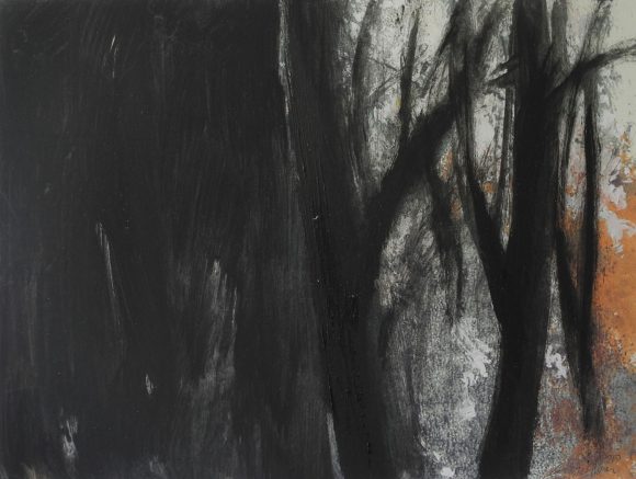 La luz del Bosque 15