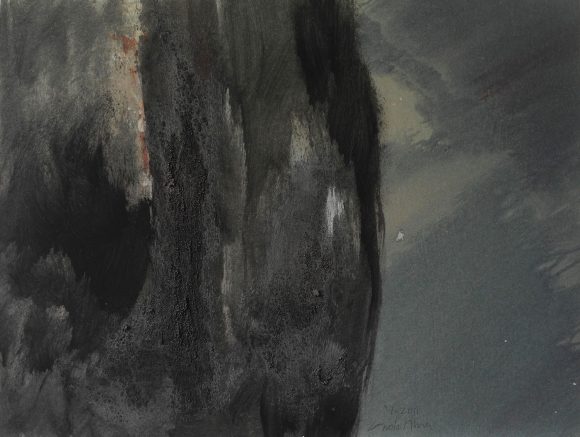 La luz del Bosque 16