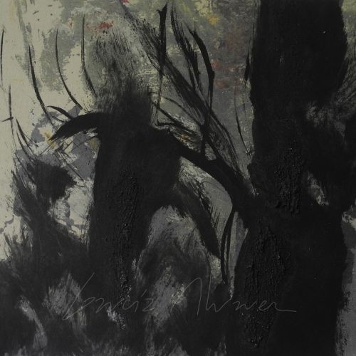 La luz del Bosque 18