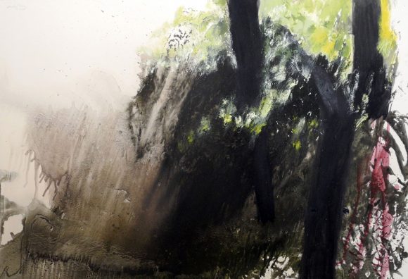 La luz del Bosque 04