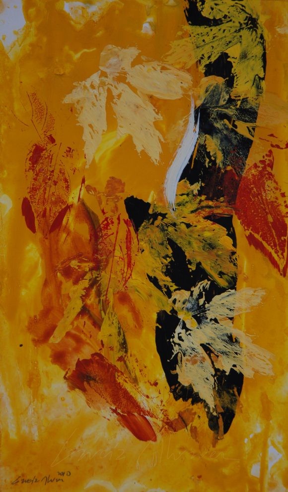 Arce en Otoño 09