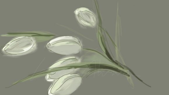 Flores 09