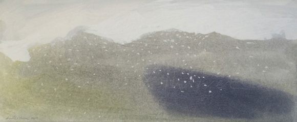 Jardín nevado 10