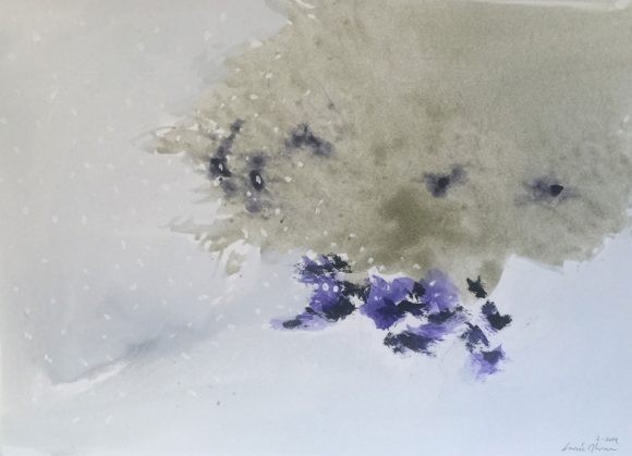 Jardín nevado 13