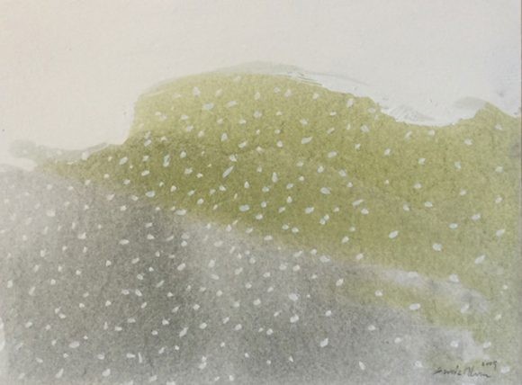 Jardín nevado 05
