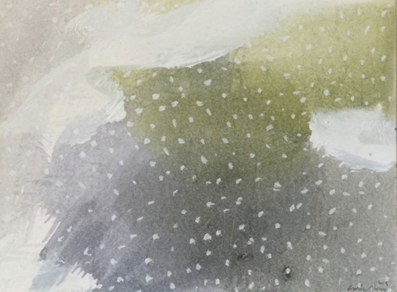 Jardín nevado 06