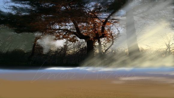 Overpainted Photographs 05