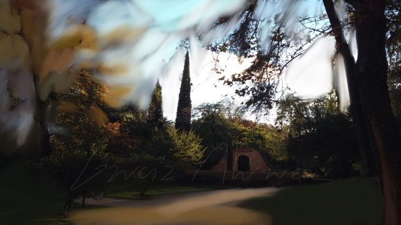 Overpainted Photographs 14